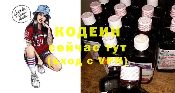 дживик Бородино