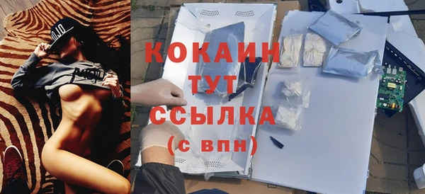 дживик Бородино